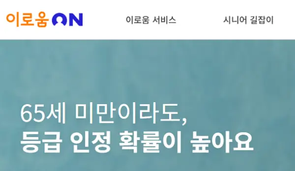 출처-이로움on-홈페이지
